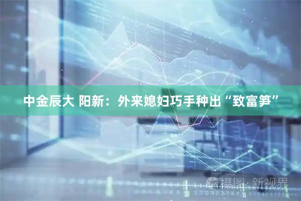 中金辰大 阳新：外来媳妇巧手种出“致富笋”